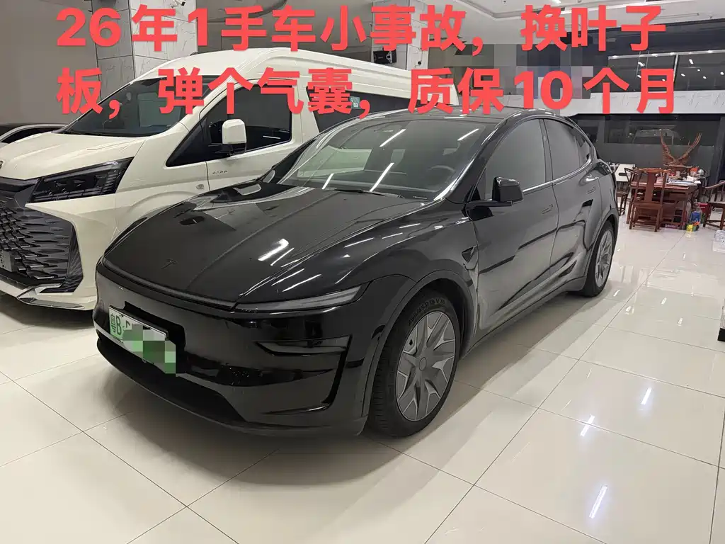 Tesla Model Y L — миниатюра 5