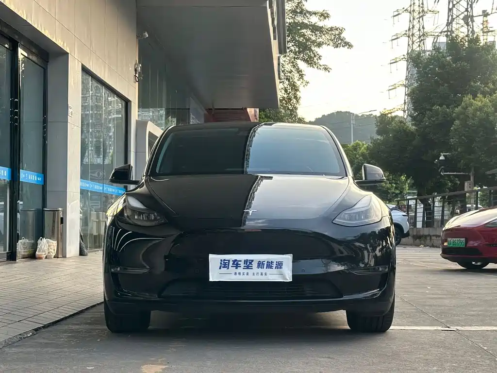Tesla Model Y — миниатюра 4