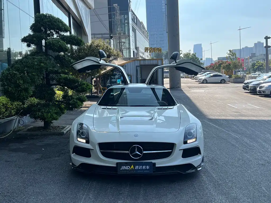 Mercedes-Benz SLS AMG SLS AMG Black Series, фото 2
