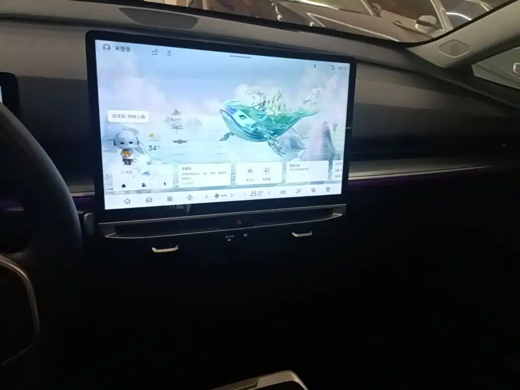 Venucia VX6 — миниатюра 13