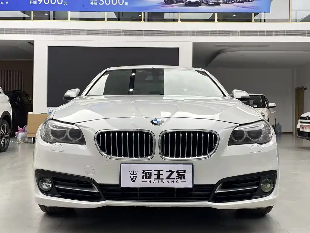 BMW 5 Series 2015
