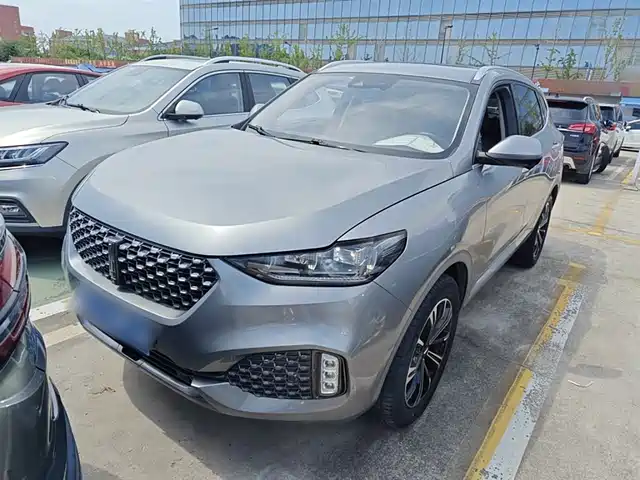 WEI PAI WEI BRAND VV6