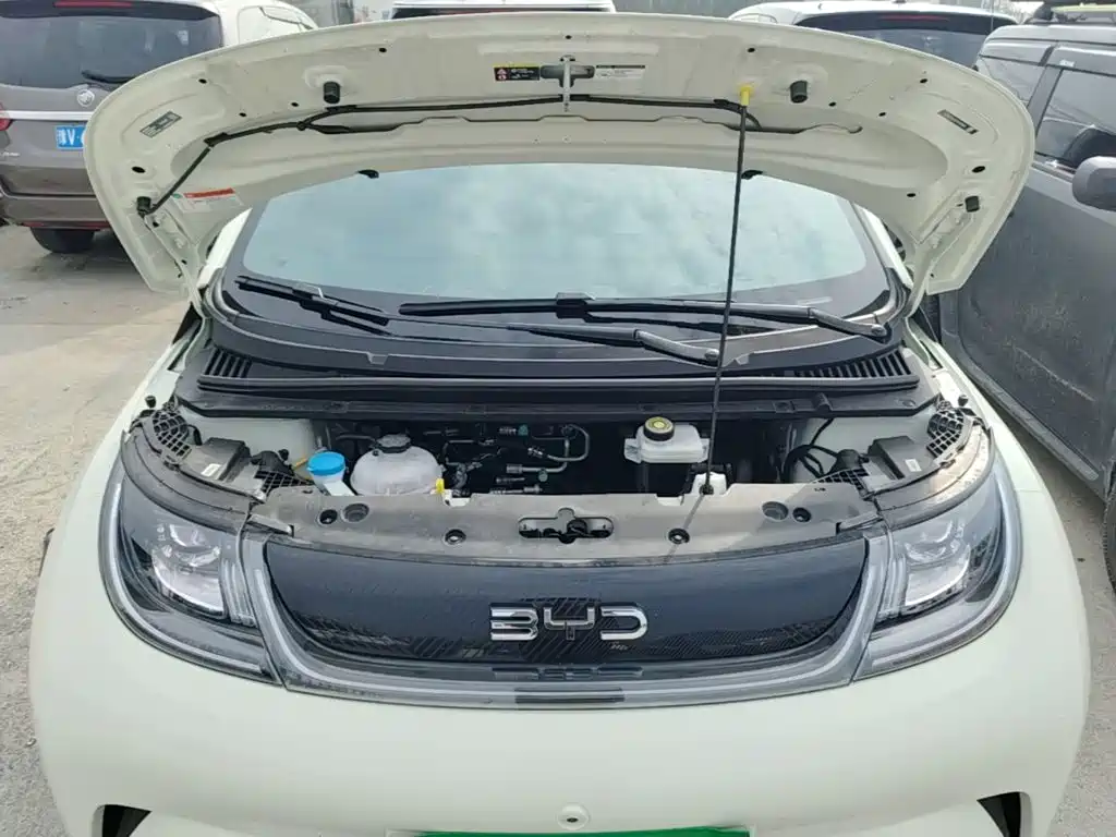 BYD Dolphin — миниатюра 20