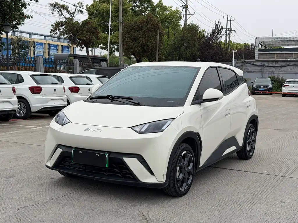 Byd Seagull 2024