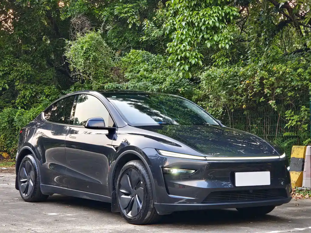 Tesla Model Y — миниатюра 2