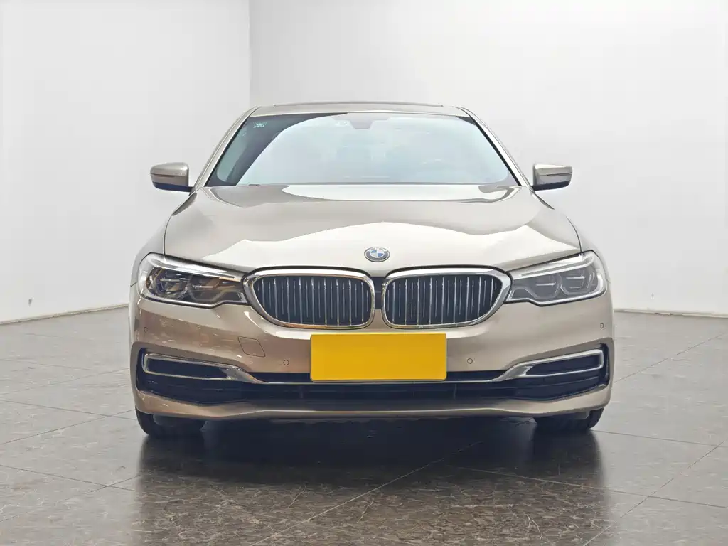 BMW 5 Series 5 2020 530Li Lead Luxury
