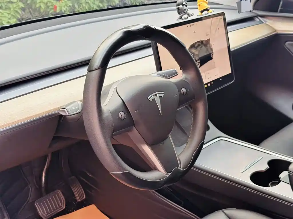 Tesla Model Y — миниатюра 3