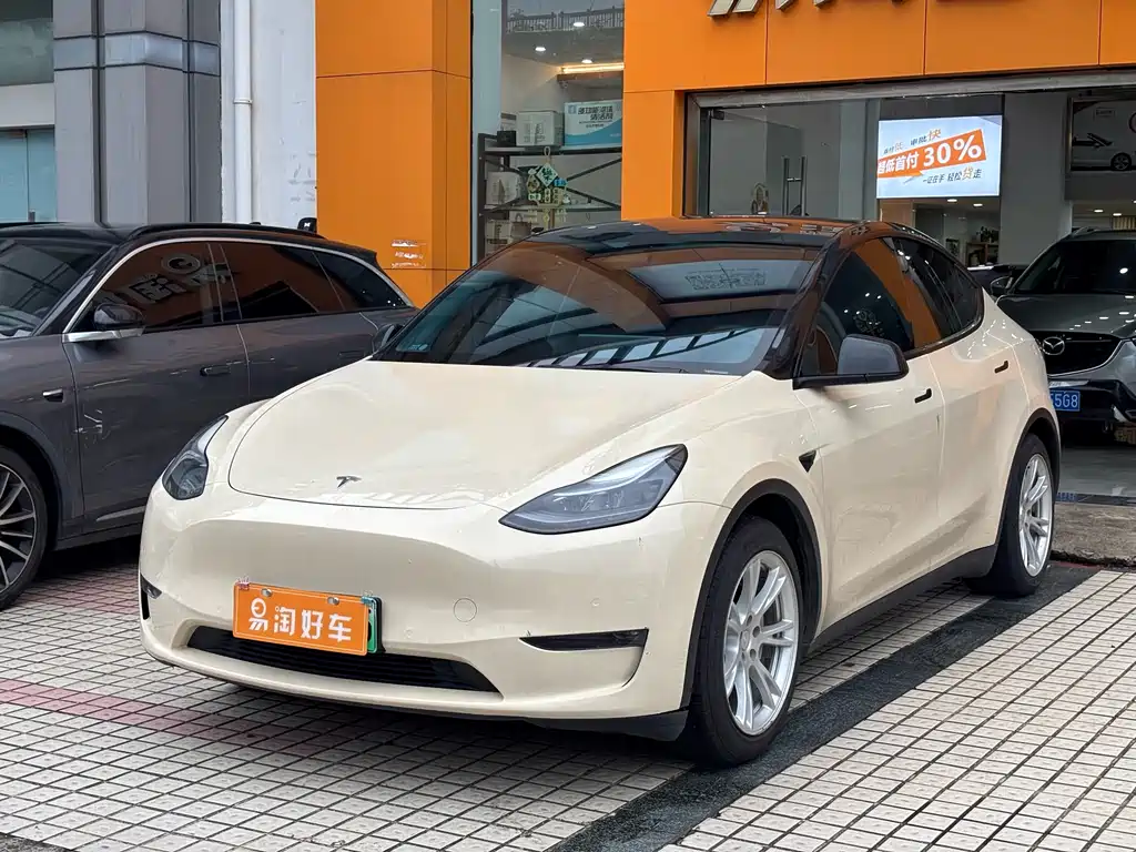 Tesla Model Y 2021