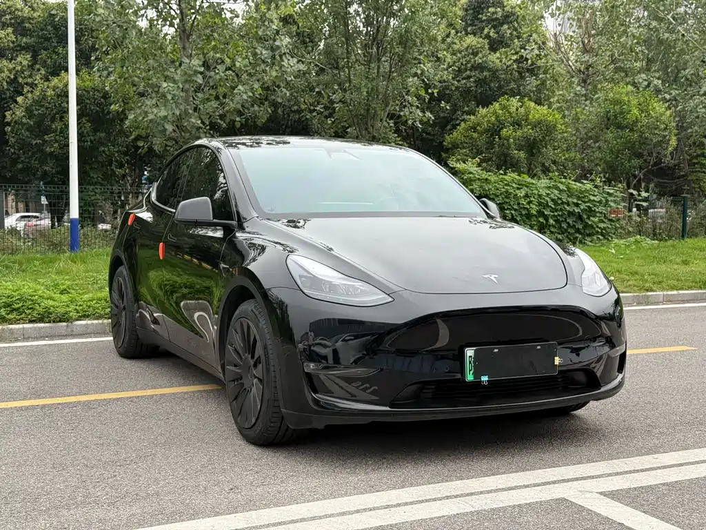 Tesla Model Y — миниатюра 3