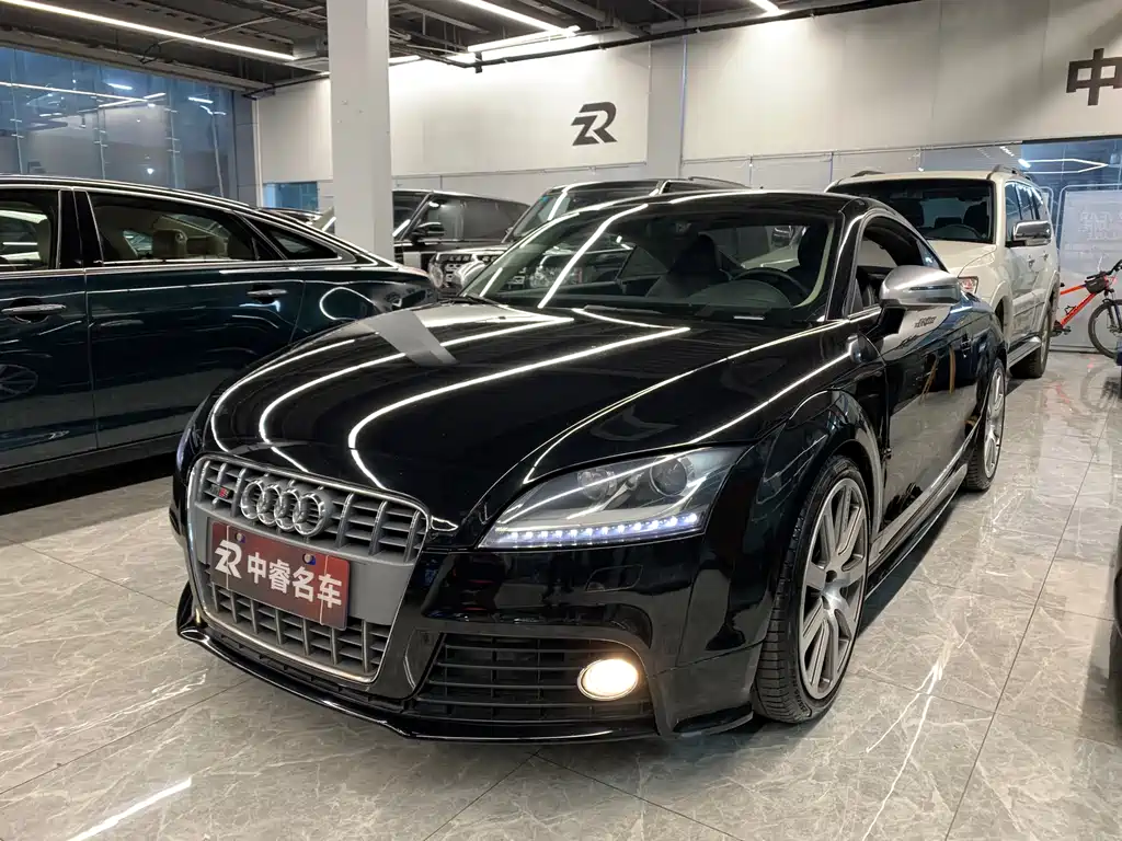 Audi TTS 2010