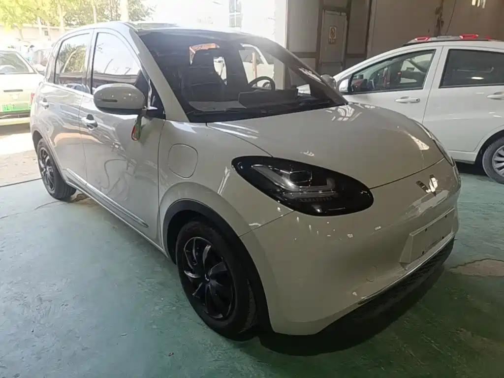 Wuling Binguo 2023 333km