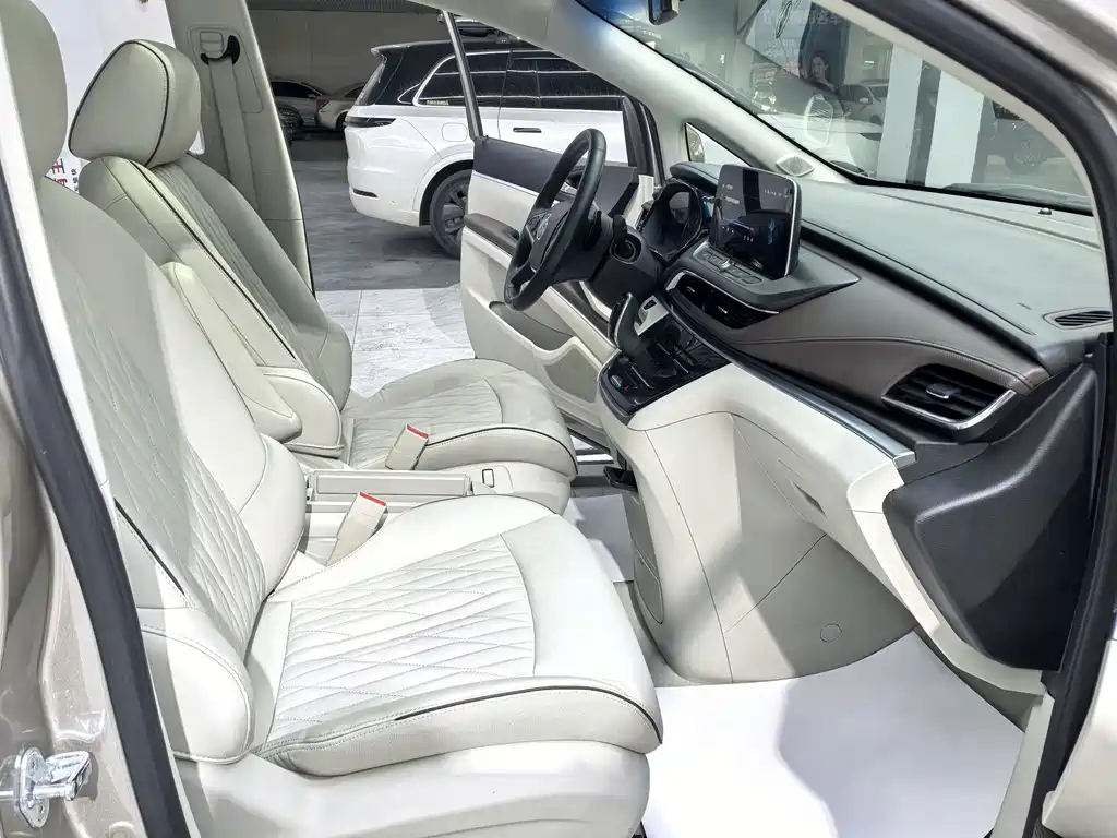 Buick GL8 — миниатюра 14