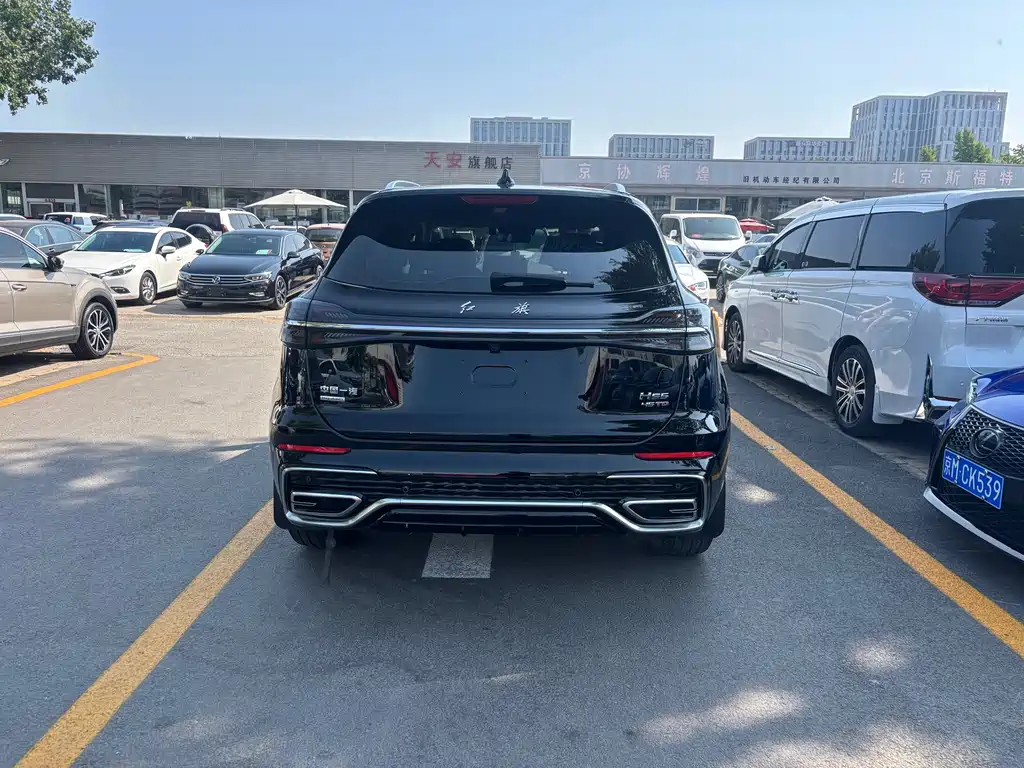 Hongqi HS5 2023 2.0T Pro