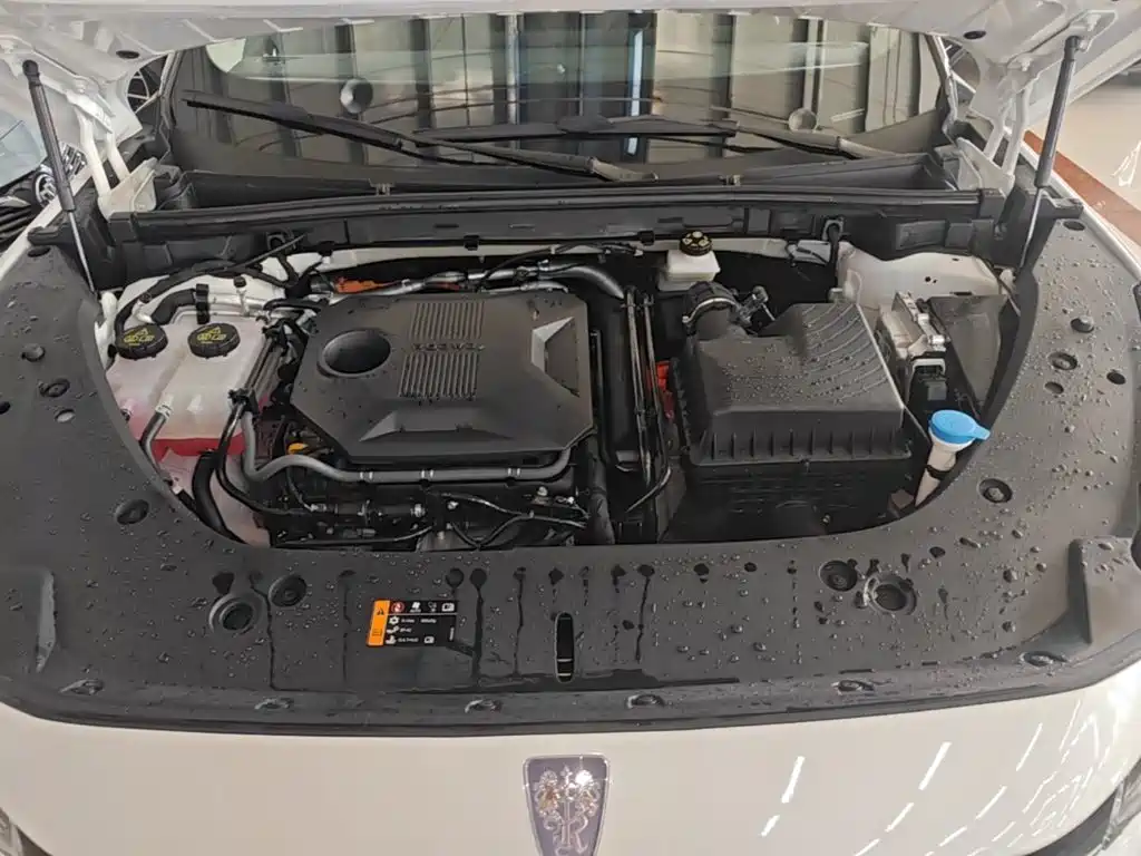 Roewe D5X DMH — миниатюра 20