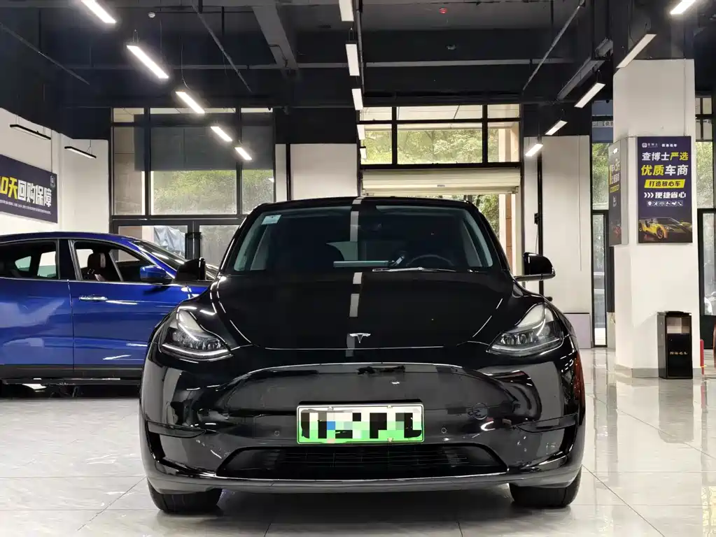 Tesla Model Y — миниатюра 2