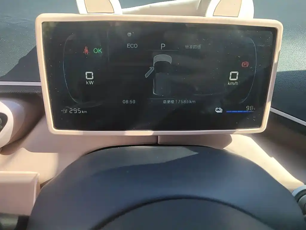 BYD Seagull 2024 305km Freedom