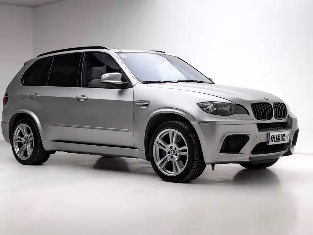 BMW X5 M 2010 X5 M