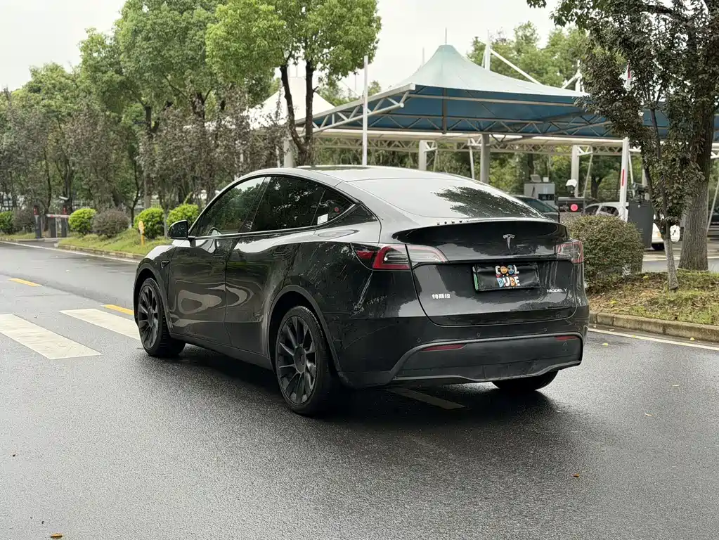 Tesla Model Y — миниатюра 6
