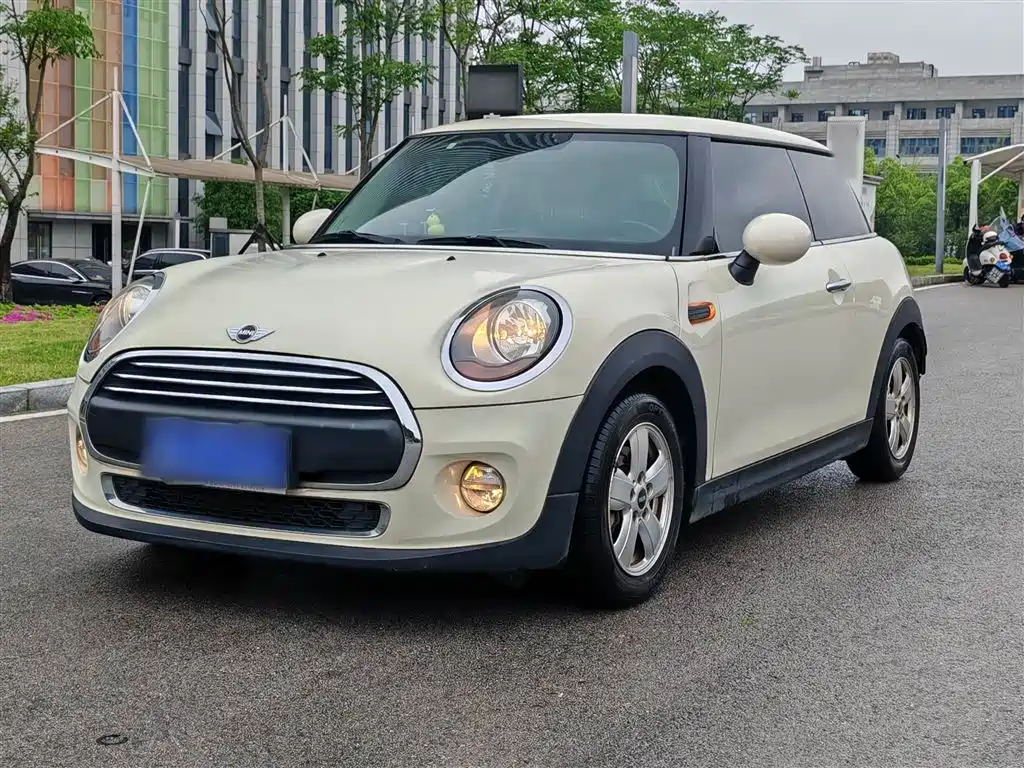 Mini Mini 2015