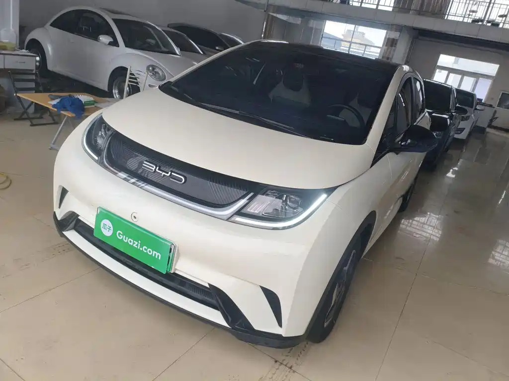 BYD Dolphin 2024 302km