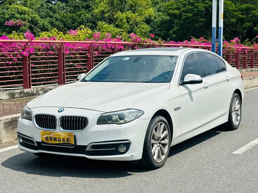 BMW 5 Series — миниатюра 2
