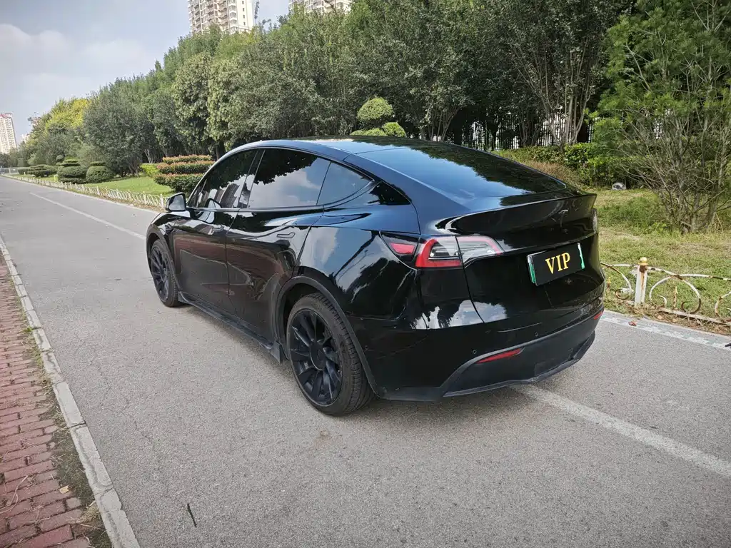 Tesla Model Y — миниатюра 12