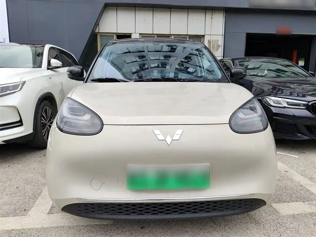 Wuling Binguo 2024 333km Enjoy