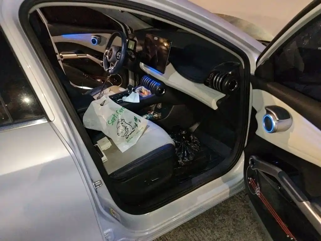 BYD Yuan Plus — миниатюра 19