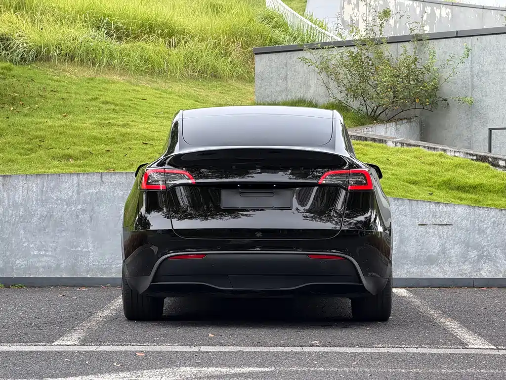 Tesla Model Y — миниатюра 6