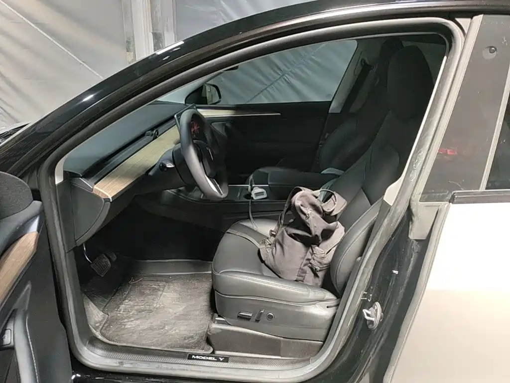 Tesla Model Y — миниатюра 15