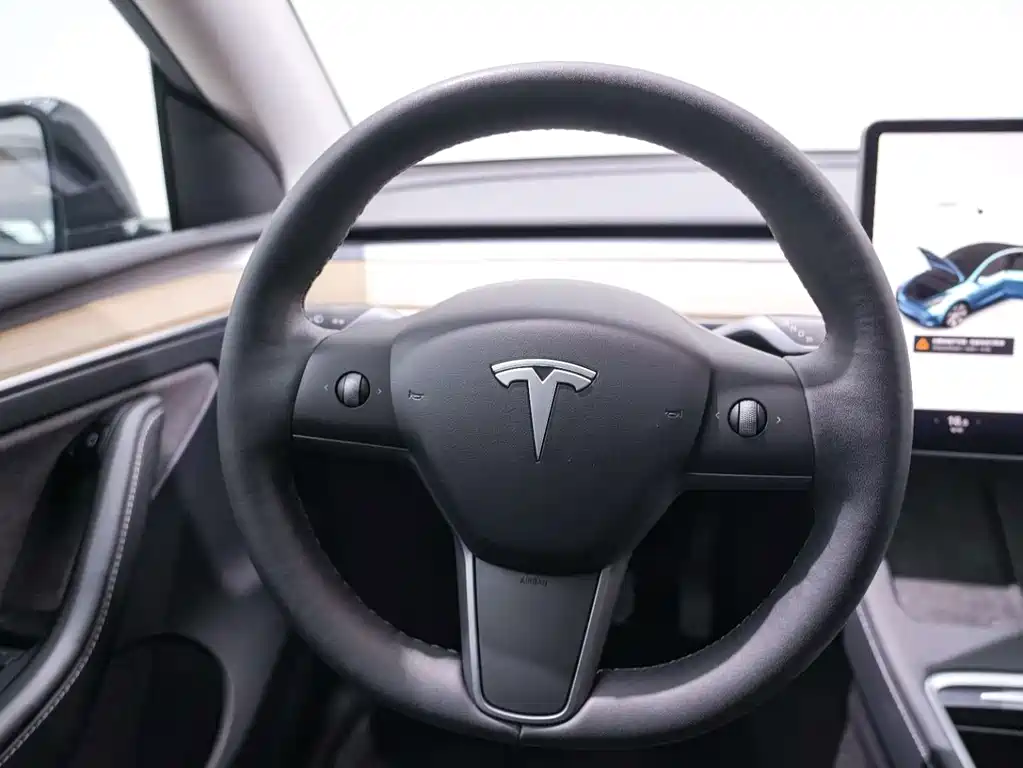 Tesla Model Y — миниатюра 20