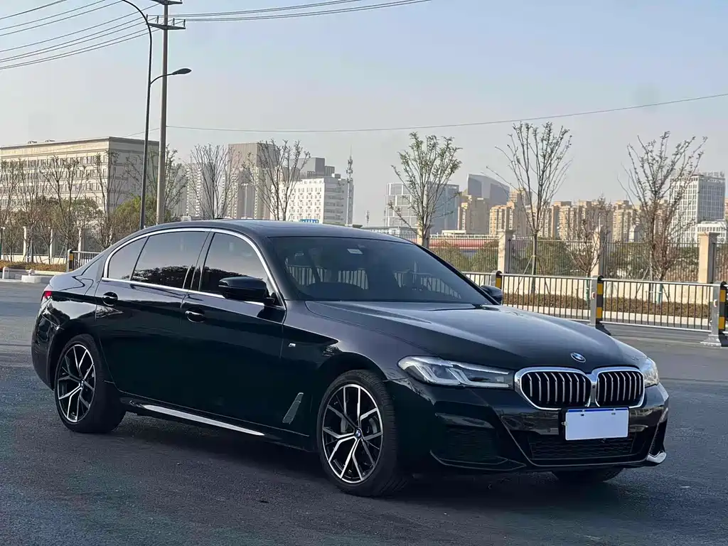 BMW 5 Series — миниатюра 3