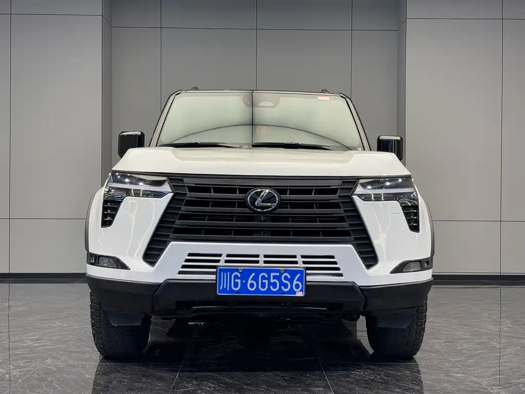 LEXUS  GX