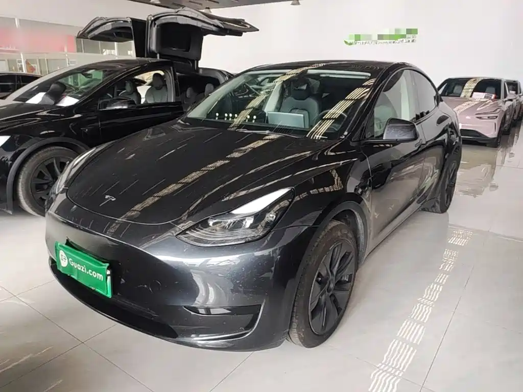 Tesla Model Y — миниатюра 2