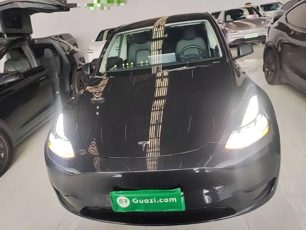 Tesla Model Y — миниатюра 3