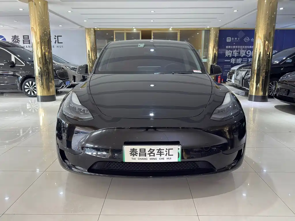 Tesla Model Y — миниатюра 2