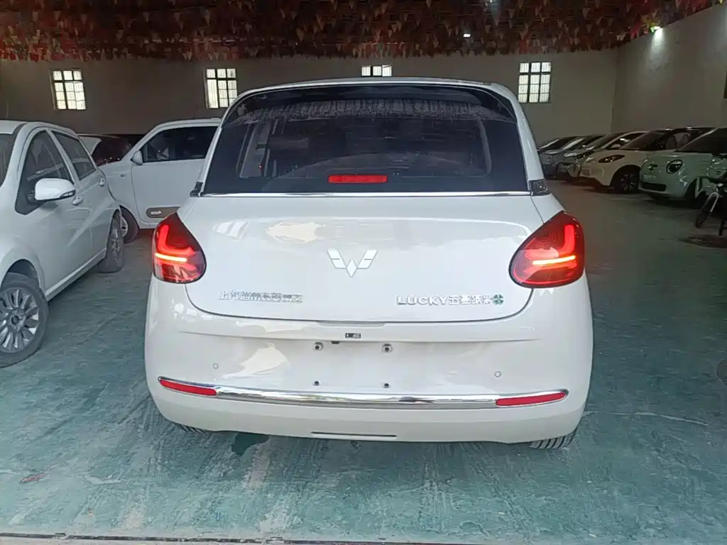 Wuling Binguo 2023 333km
