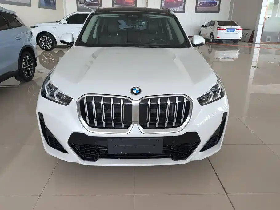 BMW X1 — миниатюра 2