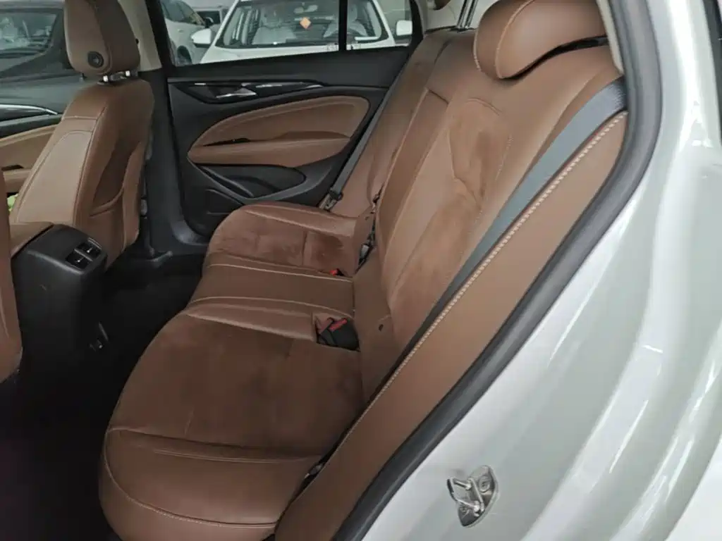 Buick Regal — миниатюра 17