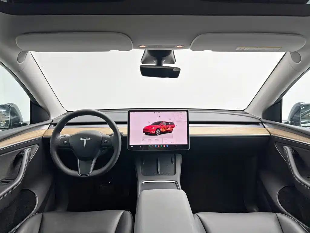 Tesla Model Y — миниатюра 23