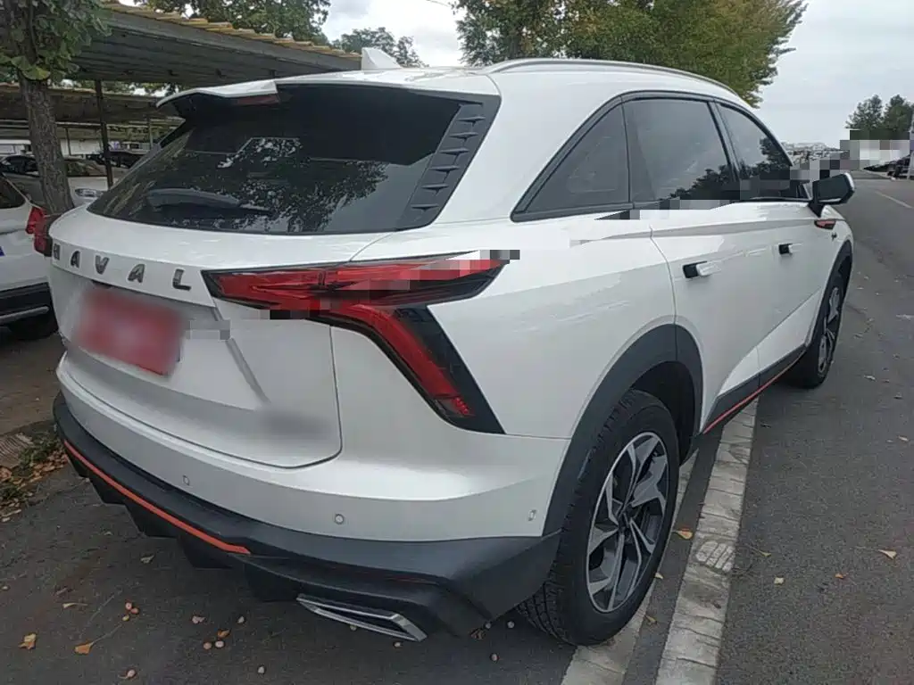 Haval Shenshou — миниатюра 7