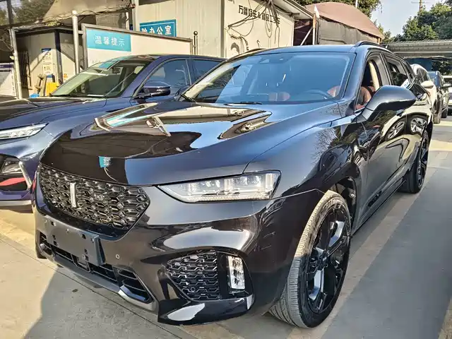 wei-pai wei-brand-vv7