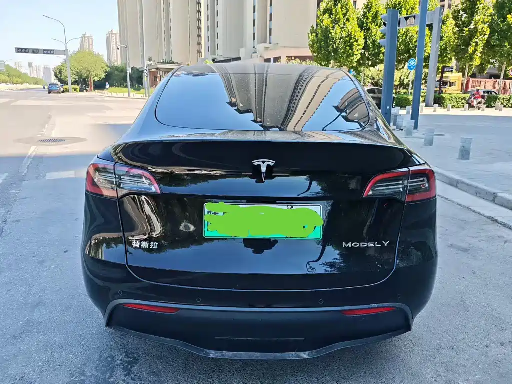 Tesla Model Y — миниатюра 8