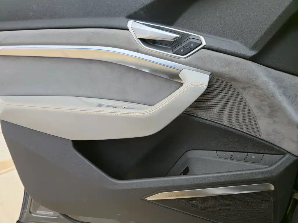 Audi e-tron (Import) — миниатюра 21