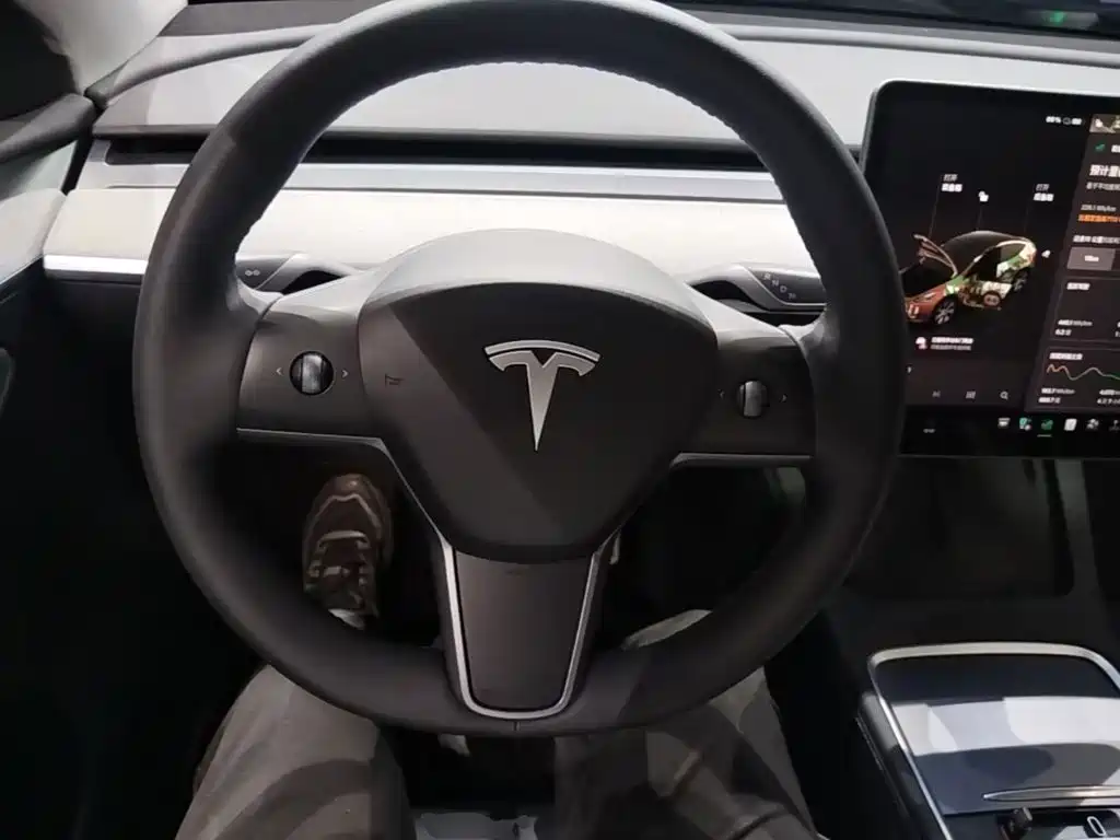 Tesla Model Y — миниатюра 11