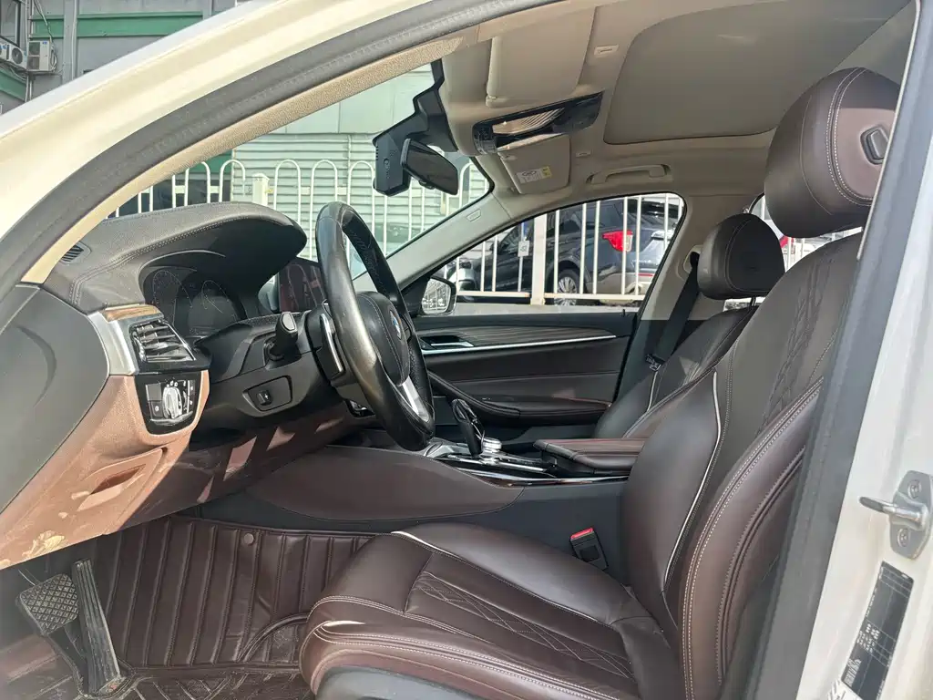 BMW 5 Series 5 2019 530Li Lead Luxury