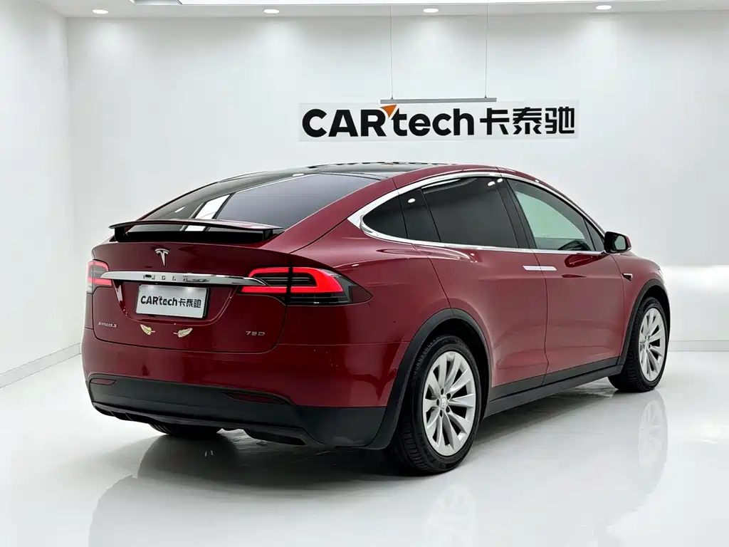 Tesla Model X — миниатюра 9