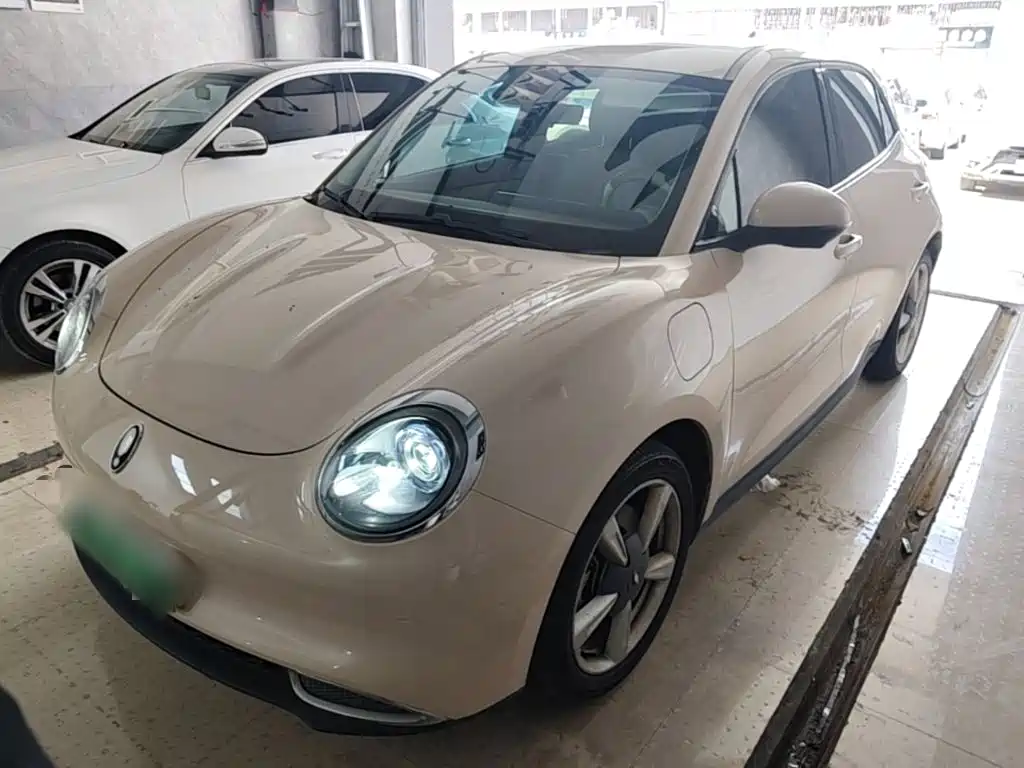 2021 Ora Good Cat - zdjęcie 1 z 25