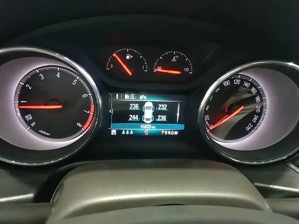 Buick Regal — миниатюра 12