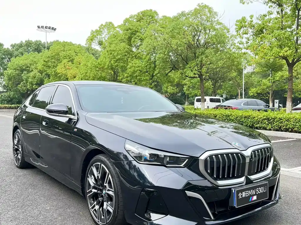 BMW 5 Series — миниатюра 2